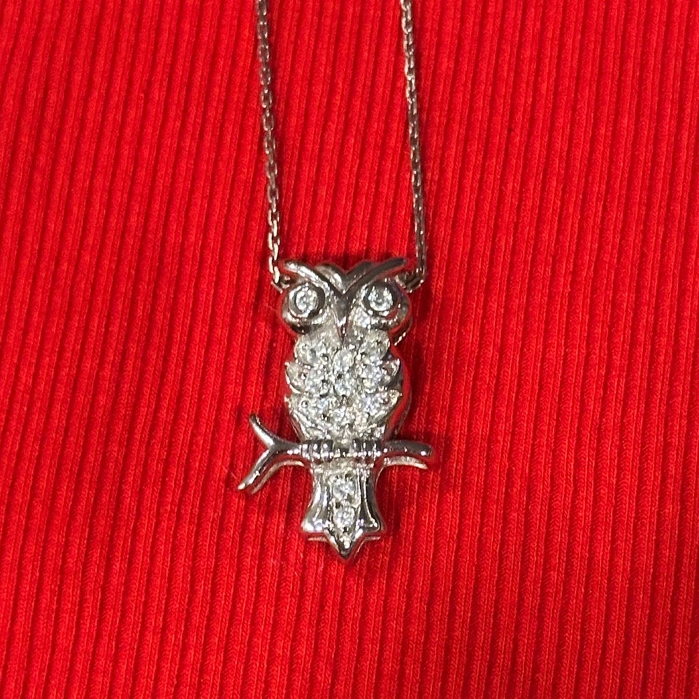Silver Owl Pendant Necklace with Box Chain.